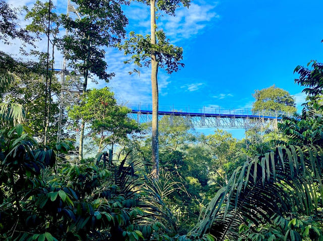 Kepong Botanic Gardens | FRIM 
