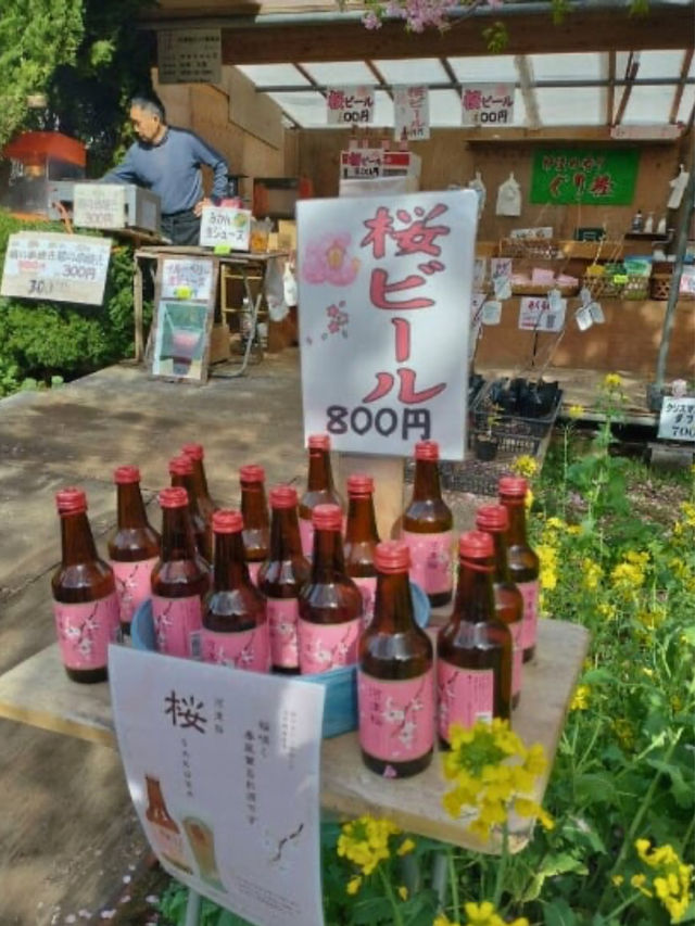 🌸Sakura🌸 @Kawazu