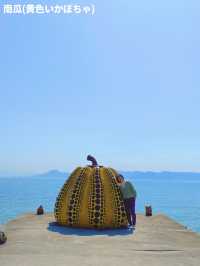 【自然のアートの島🎨直島】