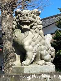 【本多八幡神社/東京都】朱塗りのコンクリート社殿と夫婦木