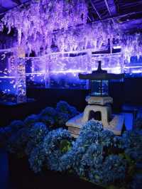 【東京】雨の日だって初夏を楽しめる✨藤×紫陽花×金魚のアートな世界を体験😍※スマホ撮影テク付 
