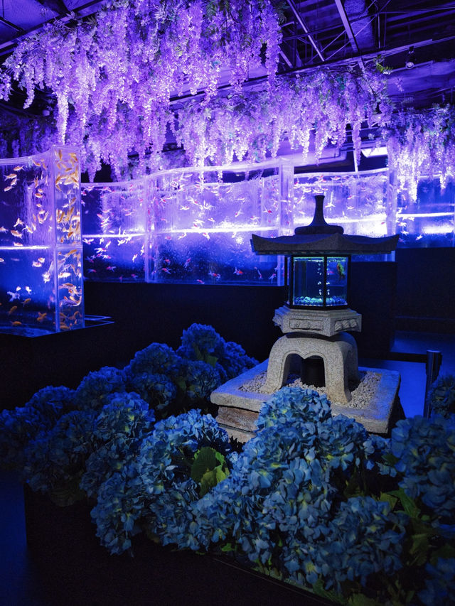 【東京】雨の日だって初夏を楽しめる✨藤×紫陽花×金魚のアートな世界を体験😍※スマホ撮影テク付 