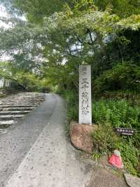 【京都】紅葉シーズンにも期待🍁