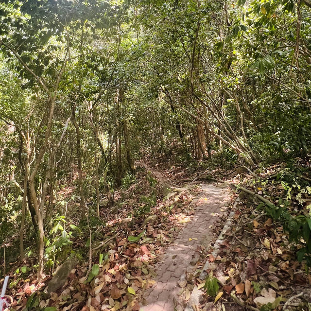 Lifetime experience of Trekking through Perhentian Island’s Forest 