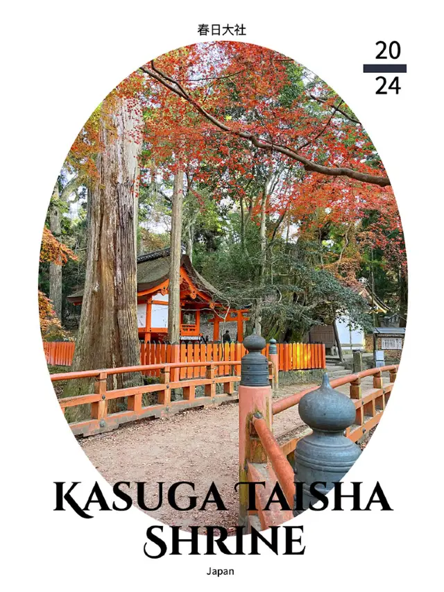 日本春天好去處 · 春日大社 Kasuga Taisha Shrine