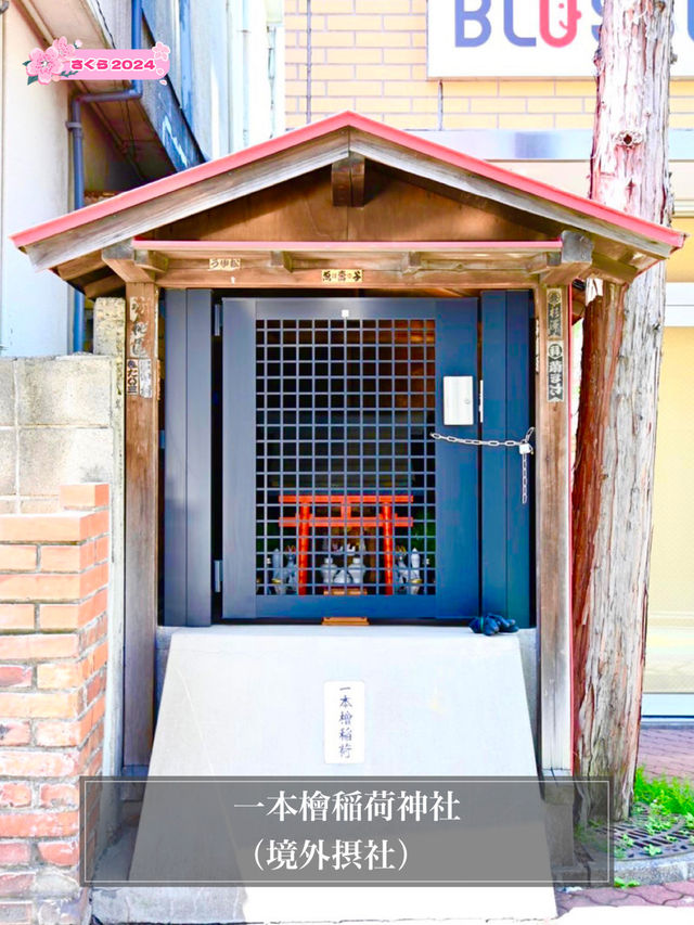 【一本檜稲荷神社（境外末社）/東京都】荒廃した本社とは正反対の綺麗な神社