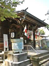 【上高田氷川神社/東京都】多様な古木に囲まれた神社