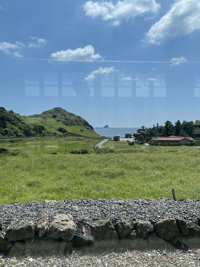 🍊🏡제주 유채꽃 명소 소색채본 카페