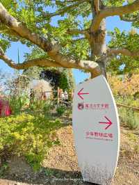 【東京】いちご色の空間でずっと本を読んでいたくなる