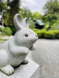 【京都府】うさぎさん好き必見！うさぎがかわいい岡崎神社