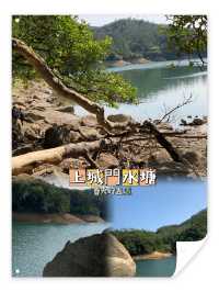 🏞️🌸🚶‍♂️ 春日漫步城門水塘 🌳🌼🌿