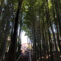 The Takenoko Park