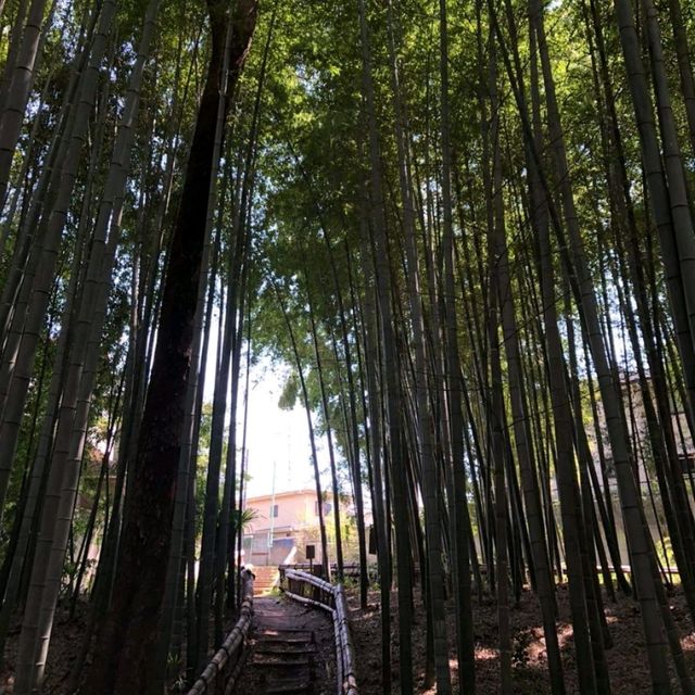 The Takenoko Park