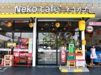 เที่ยวคาเฟ่ญี่ปุ่น Neko cafe