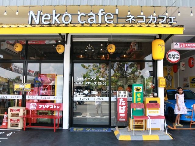 เที่ยวคาเฟ่ญี่ปุ่น Neko cafe
