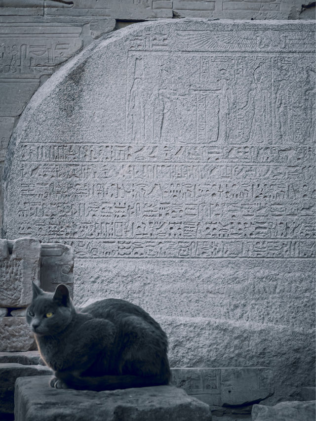 【エジプト】かつて猫が神格化されていた国