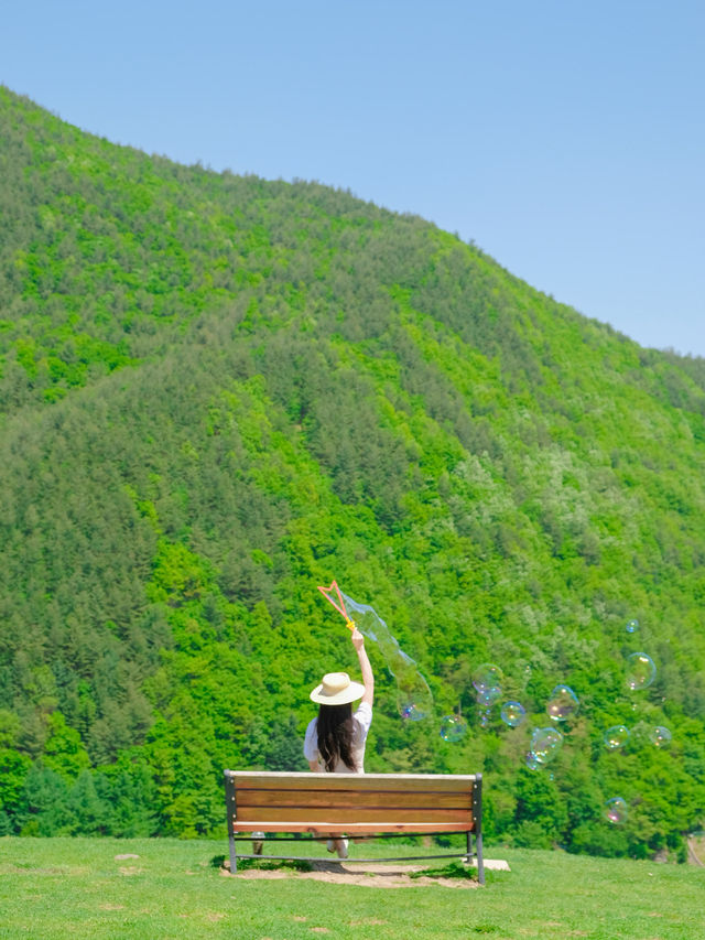 해발 800m에 위치한 한국의 K-알프스⛰️💚