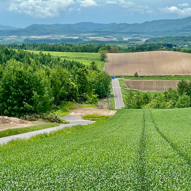 Panoramic Flower Gardens Shikisai-no-oka