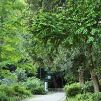 「交通公園～大自然恬靜」
