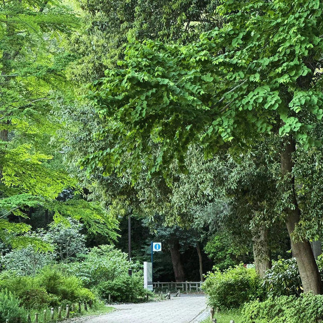 「交通公園～大自然恬靜」