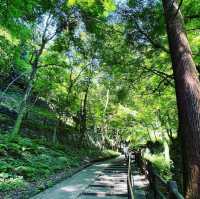 養老の滝