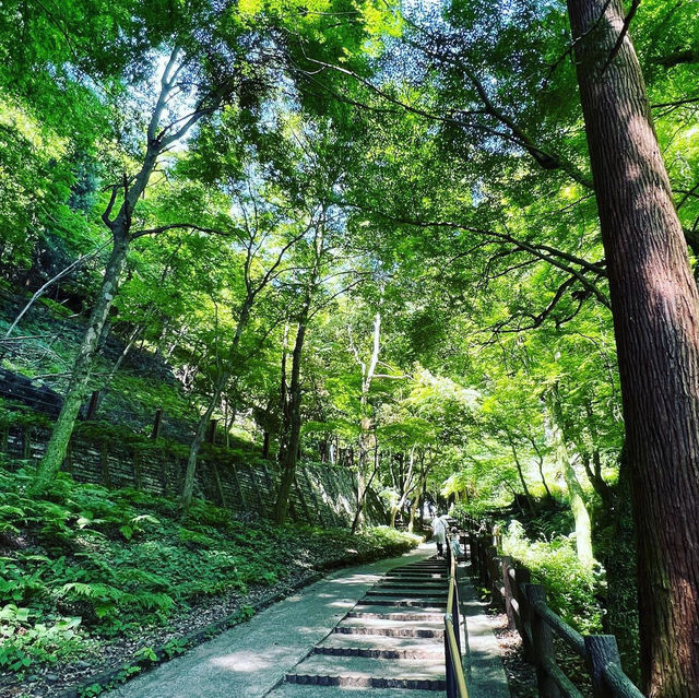 養老の滝