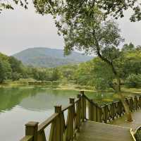 見晴懷古步道：驚艷自然景緻，遊客喜愛的高山步道