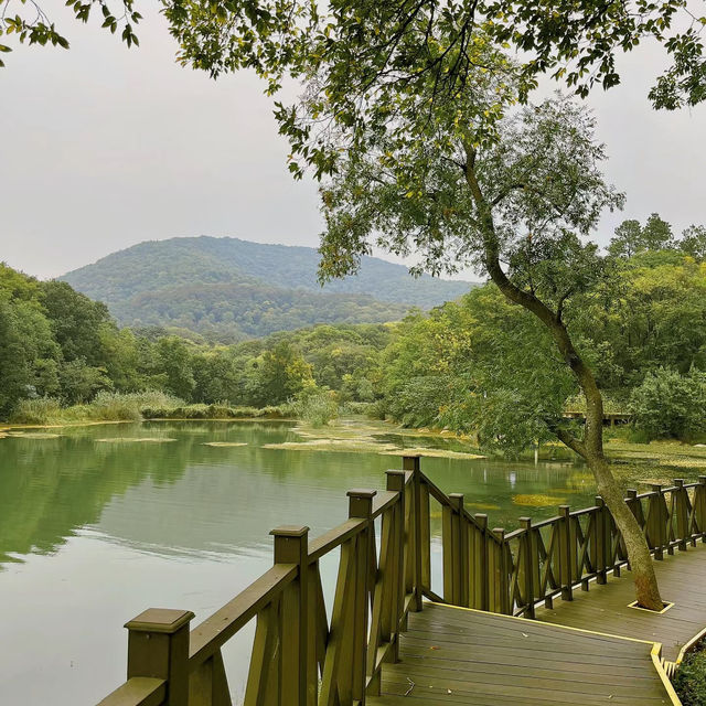 見晴懷古步道：驚艷自然景緻，遊客喜愛的高山步道