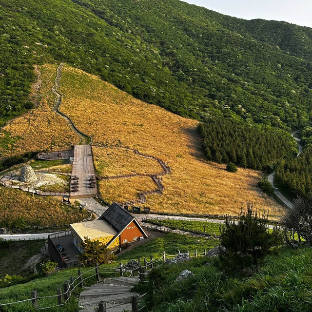 【由布岳】春日浪漫，最佳選擇！【2024春天好去處】