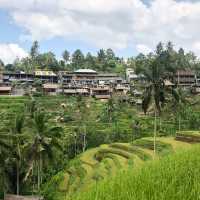 Bali's Emerald Staircase: Unveiling the Beauty of Tegalalang Rice Terraces