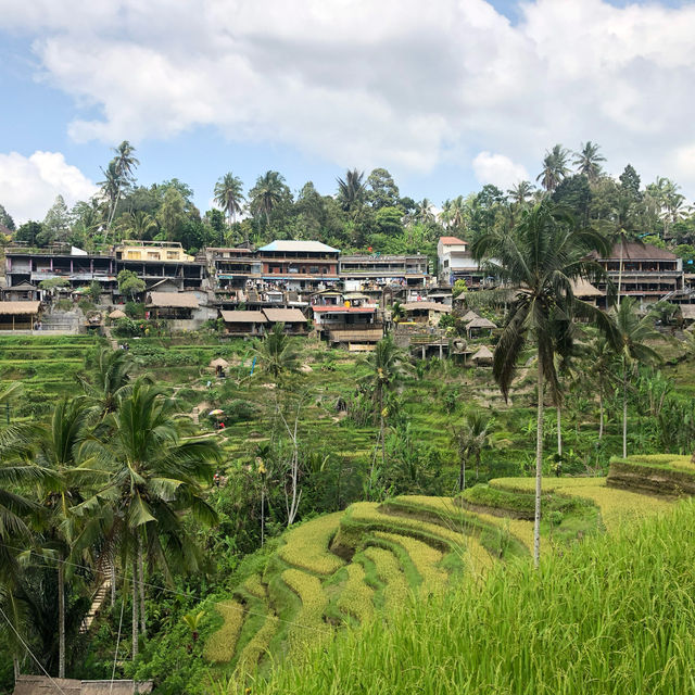 Bali's Emerald Staircase: Unveiling the Beauty of Tegalalang Rice Terraces