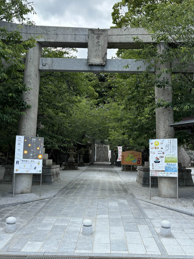 【福岡神社】センス抜群の花手水を楽しめる神社