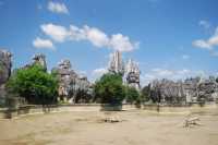 Stone Forest, The Wonder under the Heaven