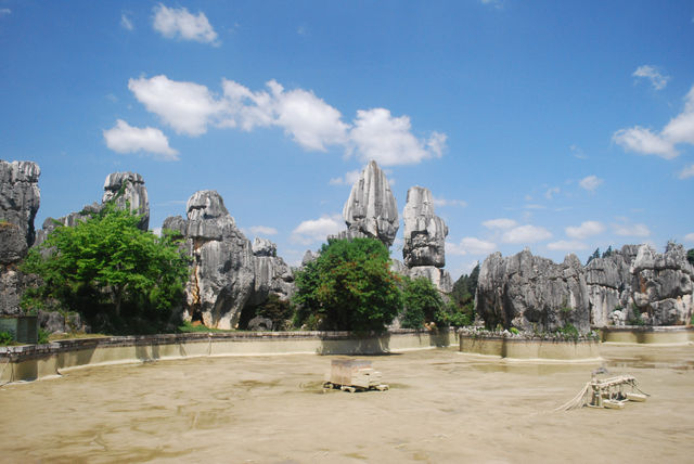 Stone Forest, The Wonder under the Heaven