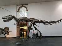 Fun Visit to the Frankfurt Natural History Museum