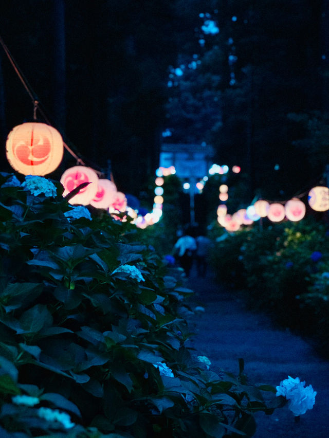 【栃木】あじさい×提灯が美しい磯山神社のあじさい祭り⛩
