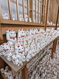 日本東京-來豪德寺帶隻招福貓回家吧！