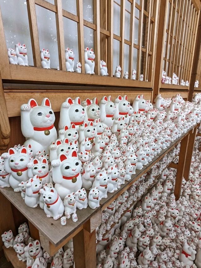 日本東京-來豪德寺帶隻招福貓回家吧！