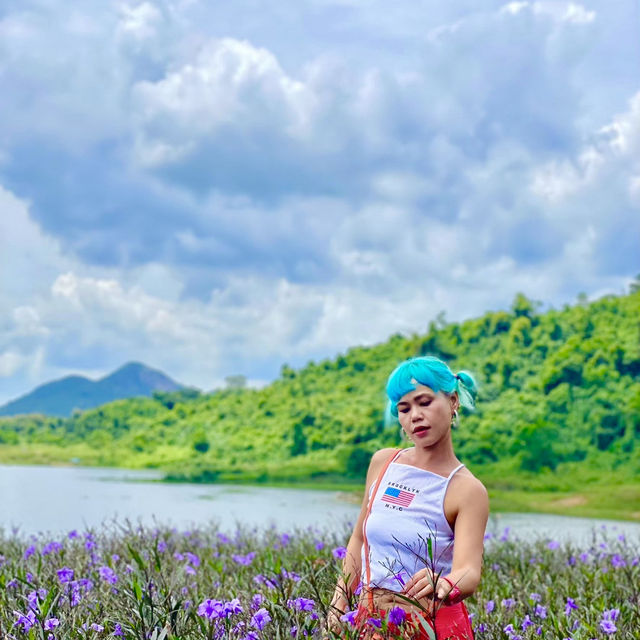 สวยๆแบบนี้เที่ยวไม่เสียตังค์นะ