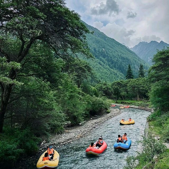 【四姑娘山】夏日遊，早進遊玩