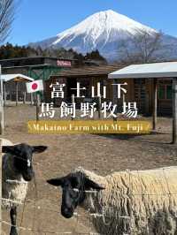 【🗻富士山下的馬飼野牧場🐑🌳】享受寧靜午後時光