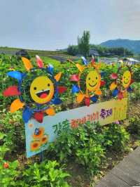 여름꽃놀이 탑티어 해바라기축제🌻