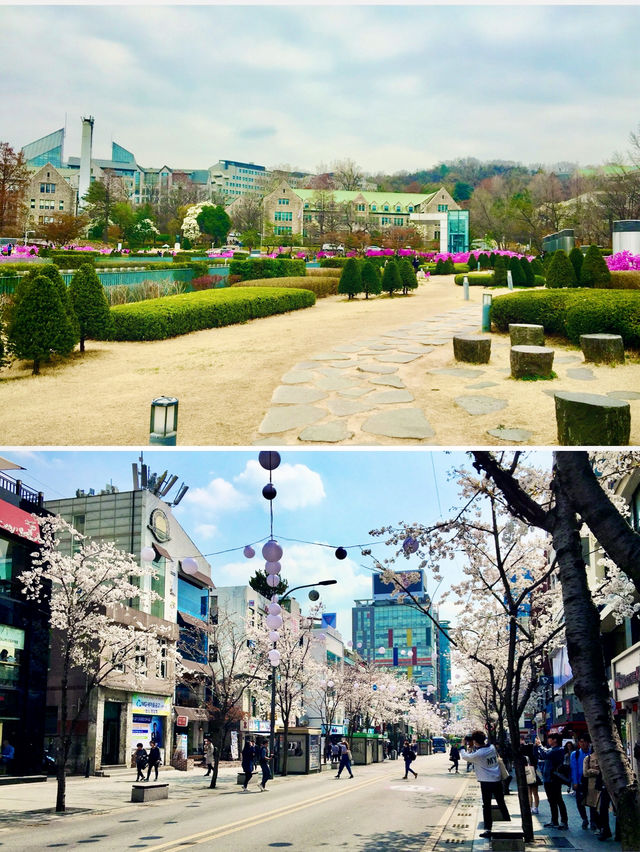 【首爾】梨花女子大學：優美寧靜的校園環境，新潮的周邊小店