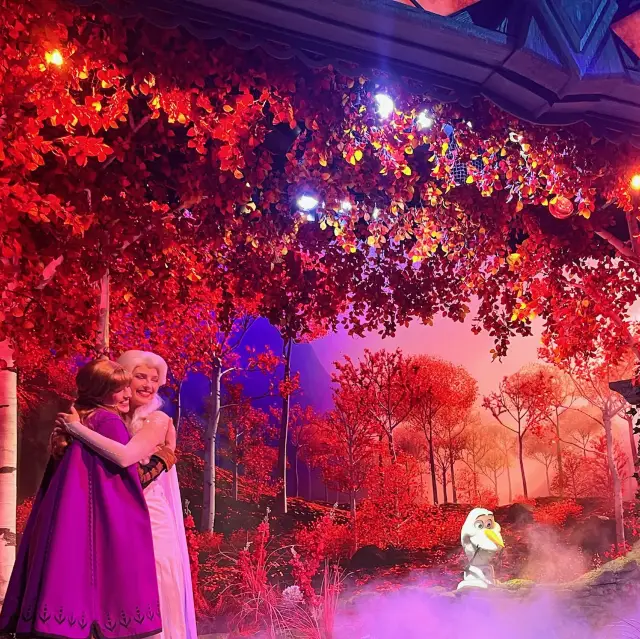 【香港ディズニー】ショーとご飯の紹介✨