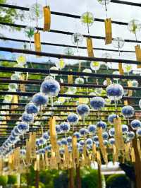 〜京都府綴喜郡〜 正寿院 6/1〜9/30まで！風鈴祭り開催中！🎐 2,000個の風鈴の音色、爽やか