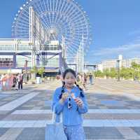 Tempozan Ferris Wheel  