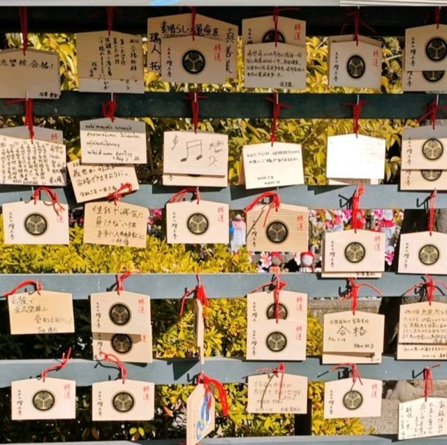 增上寺-600年歷史古寺與東京鐵塔相互輝映