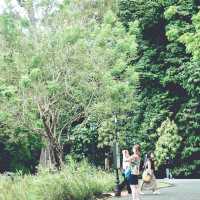 Singapore Botanic Garden
