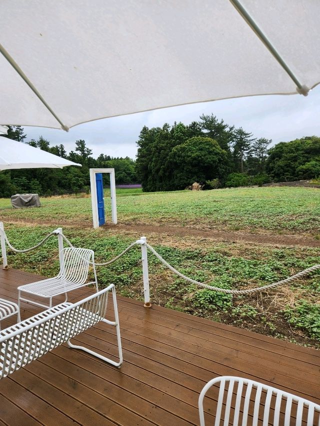 아름다운 동굴이 있는 감성카페 비케이브❤️
