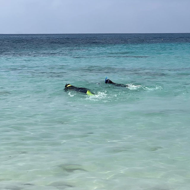 Relaxing on the island 🏝️ 